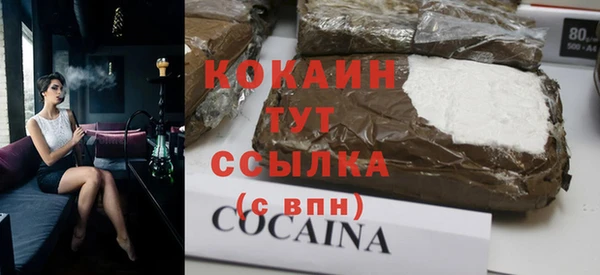 a pvp Бородино