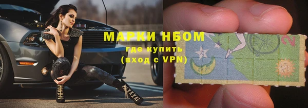 a pvp Бородино