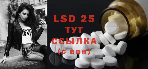 a pvp Бородино
