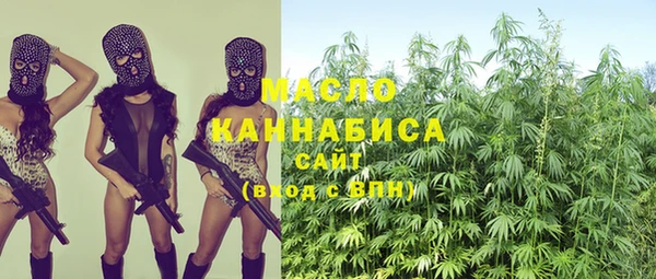 a pvp Бородино