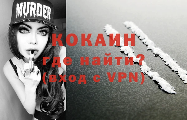 a pvp Бородино