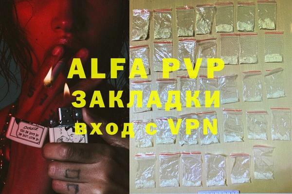 a pvp Бородино