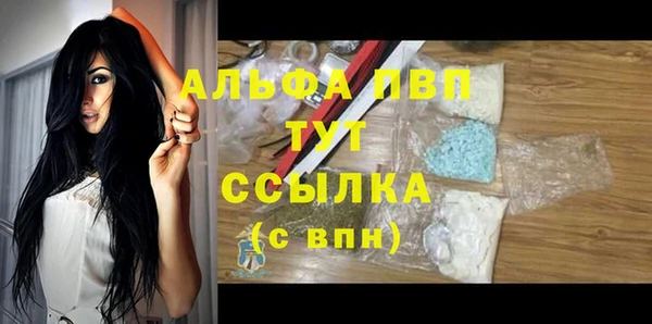 a pvp Бородино
