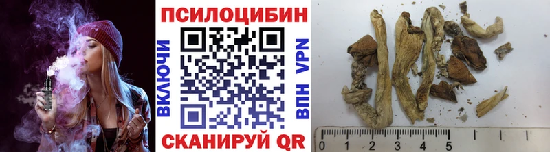 Купить где Вятские Поляны Галлюциногенные грибы Magic Shrooms